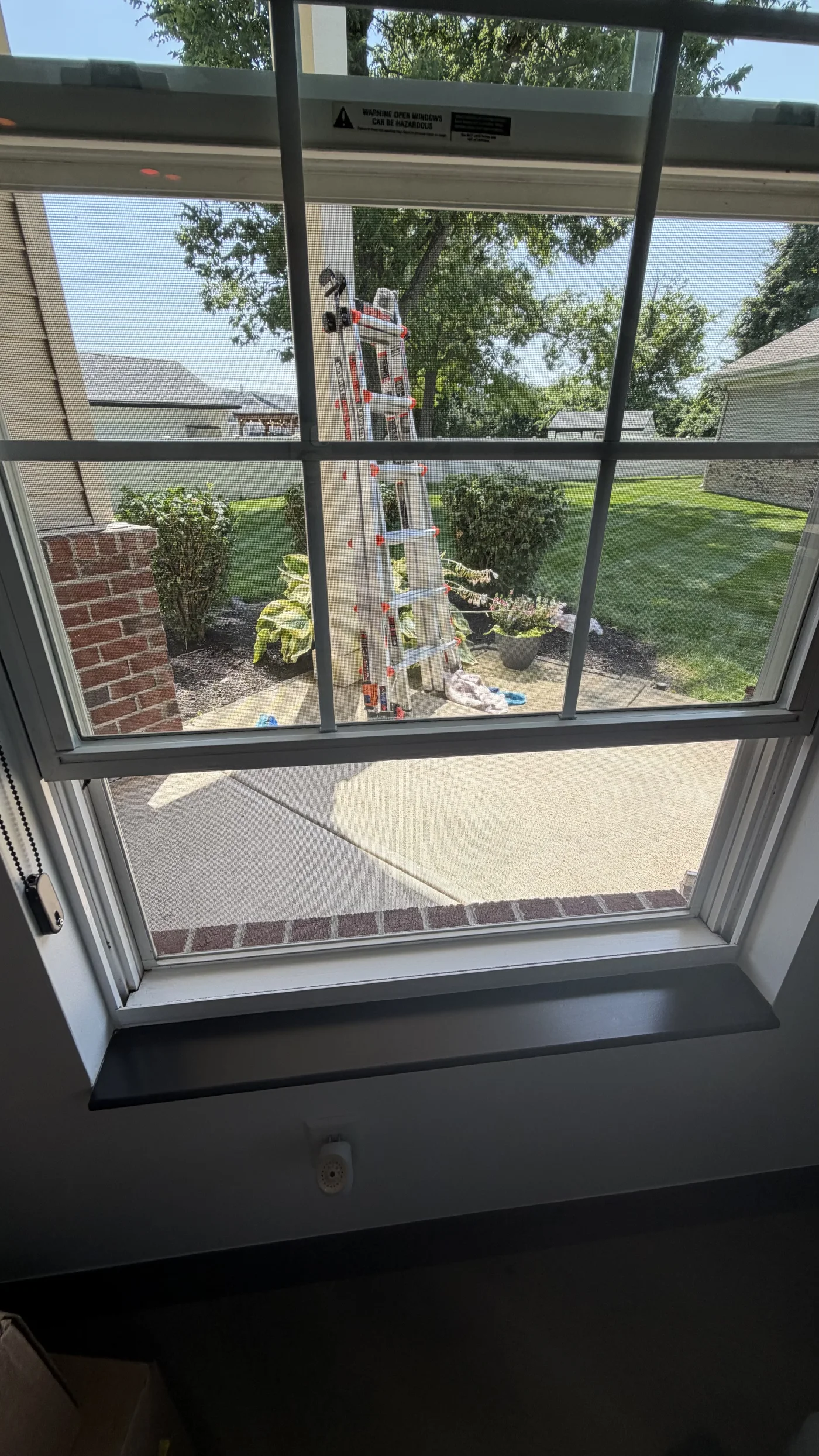 Interior view through a window screen with professional ladder equipment outside