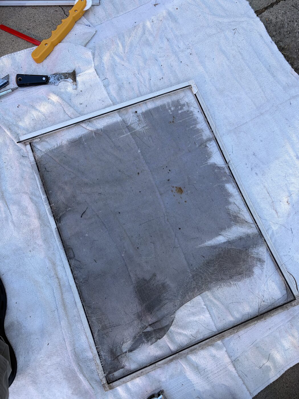 Before screen repair — damaged window screen